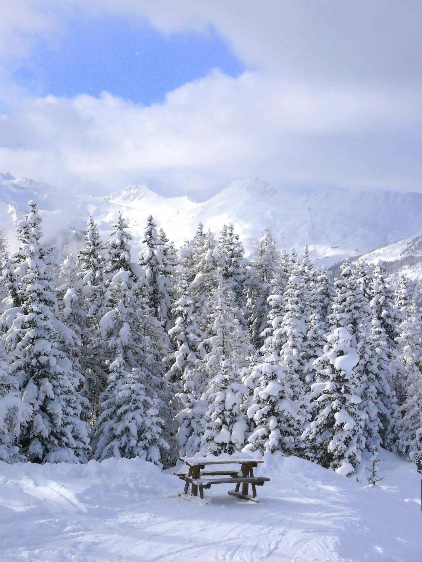 Chalet Des Domaines De La Vanoise Пезе-Нанкруа Экстерьер фото